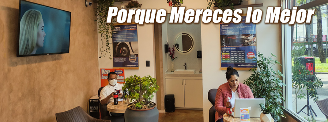 Omega Car Center, taller meccanico, mecanico a domicilio